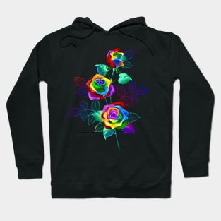 Branch with Rainbow Roses Hoodie